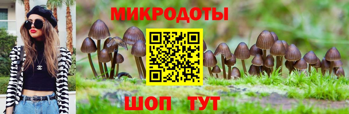 Галлюциногенные грибы Cubensis  Вход с VPN  Галлюциногенные грибы прущие грибы  Красноармейск 